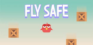 Fly Safe